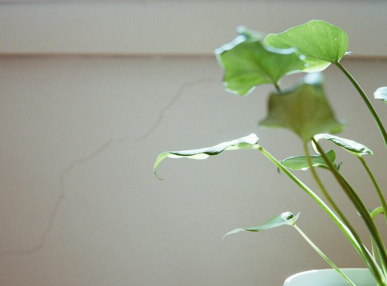 Jednostavni načini za smanjenje buke u vašem domu